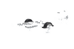 DOMAR D20422 set van twee spatborden 13-14 inch 950x240 mm voor boottrailer 