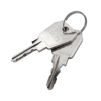 Carver sleutel 25040 (2 stuks)